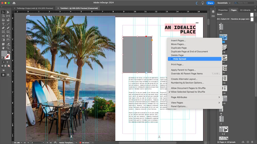 Adobe InDesign