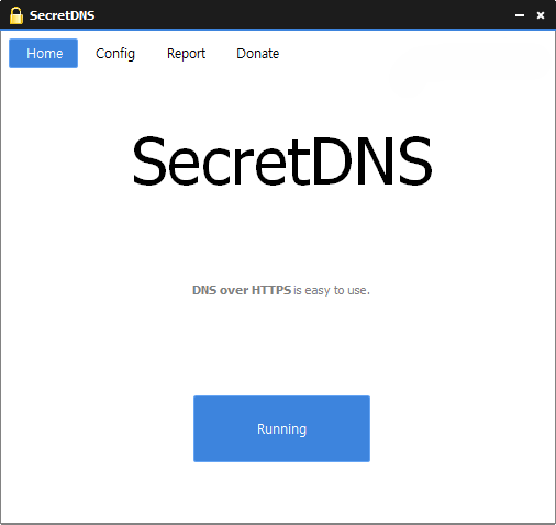 SecretDNS